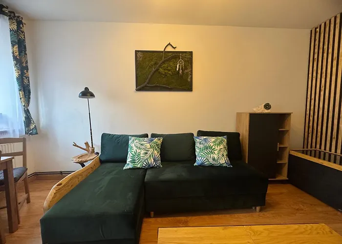 Apartament Zimowa 16