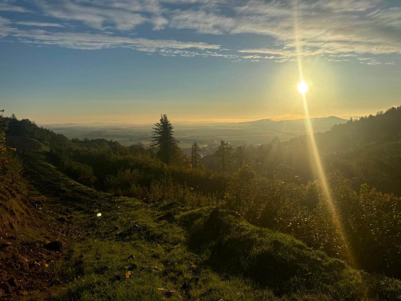 Zimowa 16 Srebrna Gora