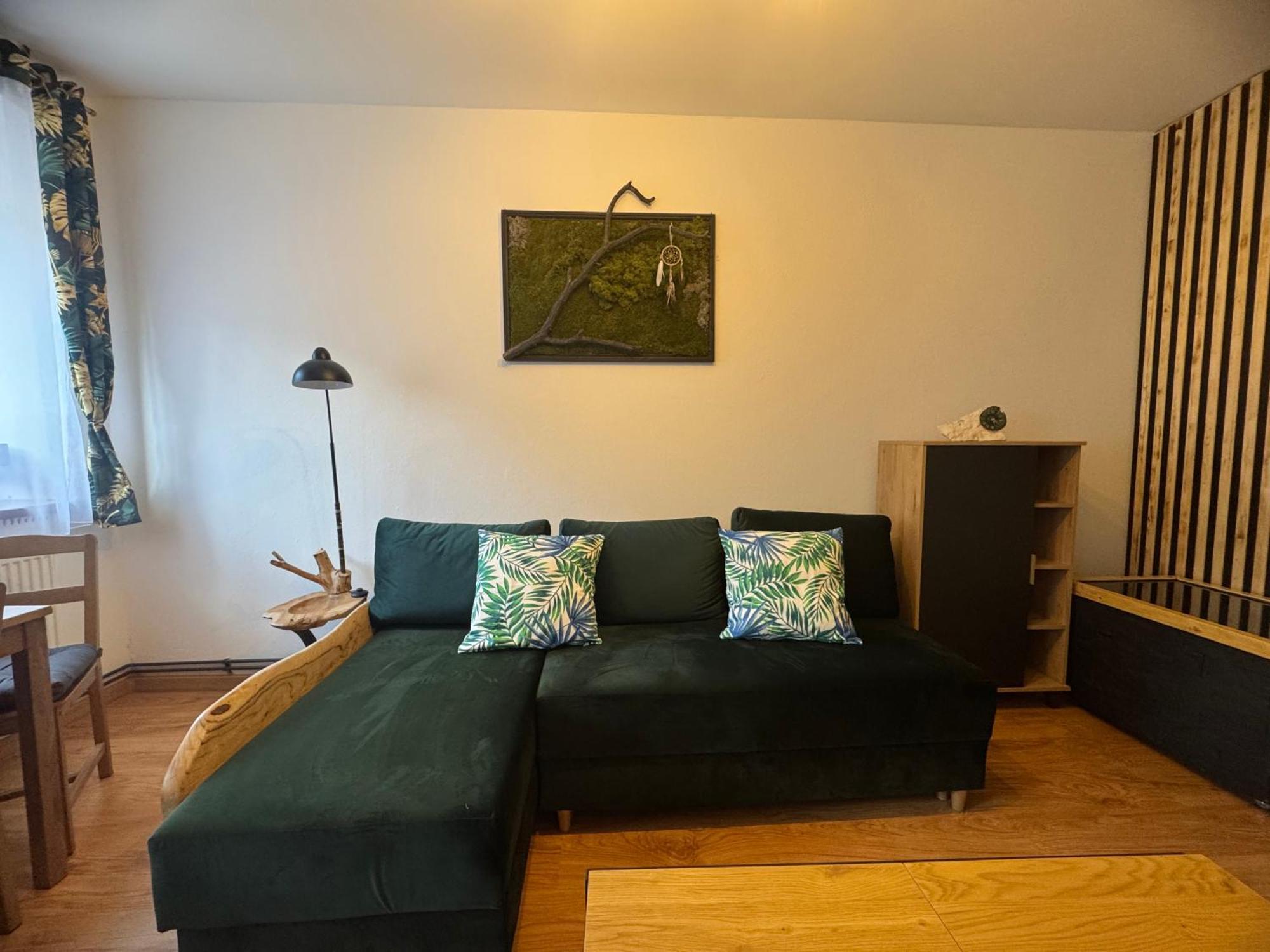 Zimowa 16 Apartment *